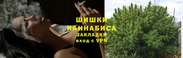 спайс Няндома