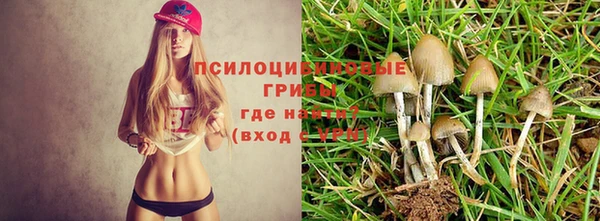 мет Дмитриев