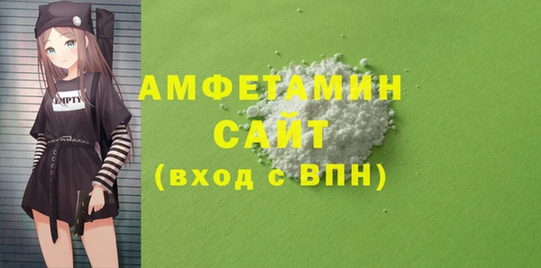 шишки Долгопрудный